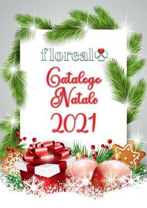 Catalogo Floreal Offerte Natale 2021